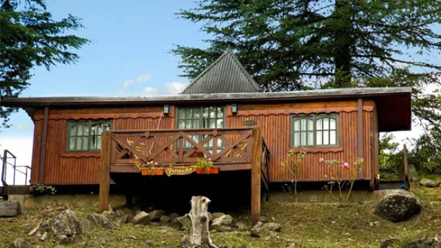 Diseño en el expreso del bosque