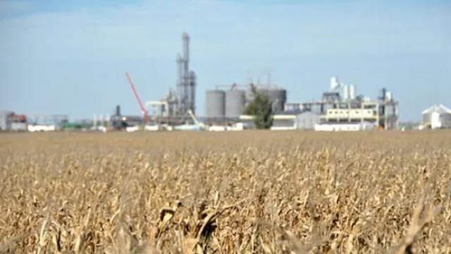 Los socios de Bio4 evalúan integrar feed lots a la planta de etanol en Río Cuarto