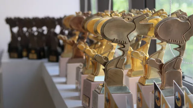 Unos cuantos FePis recolectados