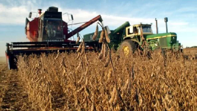 El paro del campo ralentizará la venta de soja (se comercializan -30% que las últimas 7 campañas)