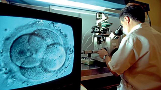 Atenti prepagas: ley de fertilización duplicará tratamientos (mercado local moverá casi $100 M)