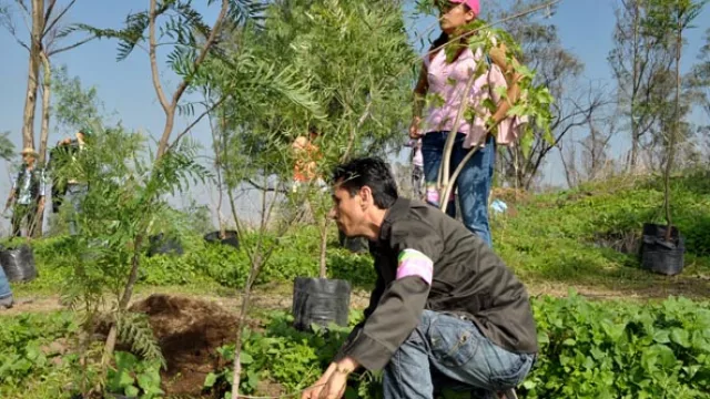 La Provincia obliga a reforestar 80.000 has. en 5 años y sale a mostrar la Policía Ambiental