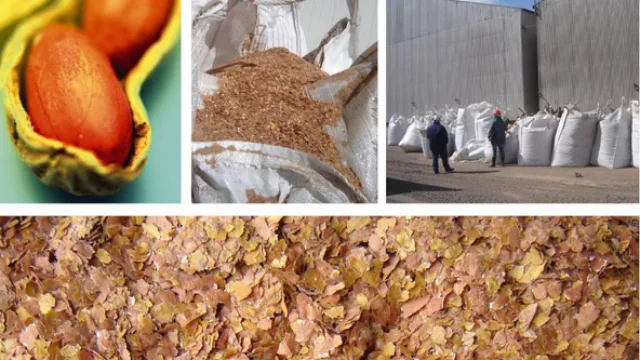 En Córdoba, cada año se generan 10.000 toneladas de piel de maní. 