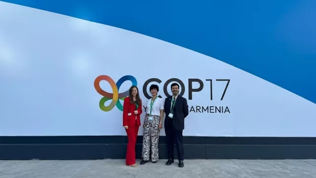 Una IA para que las pymes argentinas exporten: qué hace ICC One Click y cómo se accede L