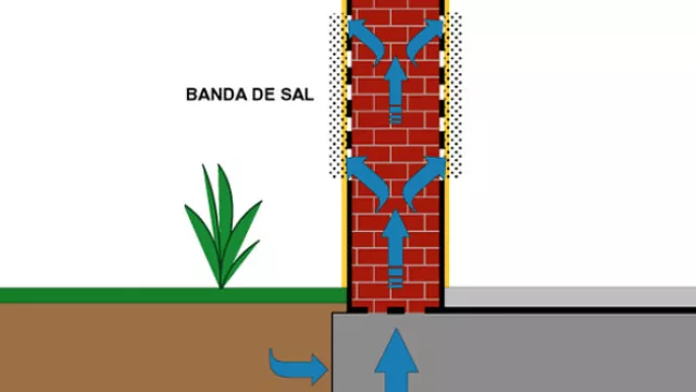 La humedad de cimientos se manifiesta por la presencia de un borde blanco, constituido por las eflorescencias (cristalización de sales en la superficie) que forman una traza o línea ondulada desde el nivel de la base.