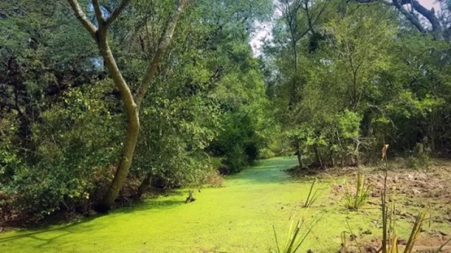 El Chaco reglamentó por decreto el Eco Token