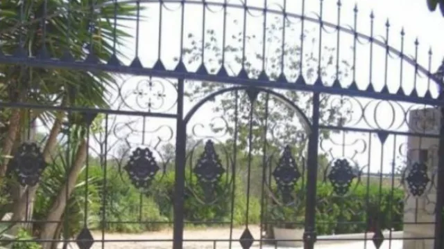 Una opción más “pintoresca” para vestir las rejas tradicionales.