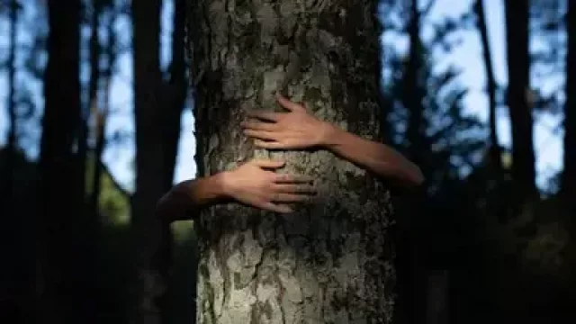 Lanzan (desde Córdoba) un premio internacional de fotografía ambiental