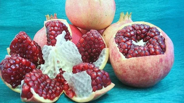 Despierta el Uruguay granadero: la firma GranaSur cultiva 5 hectáreas con granadas