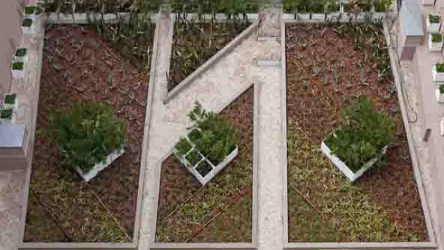 Plantitas autóctonas para reducir el efecto del calor en la terraza.