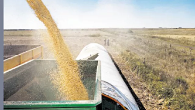 ¿Qué hago con la soja? ¿Compro, vendo o qué?  Reflexionemos...