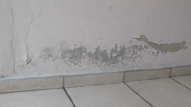 Y cuando apareció, ¿qué hacemos?