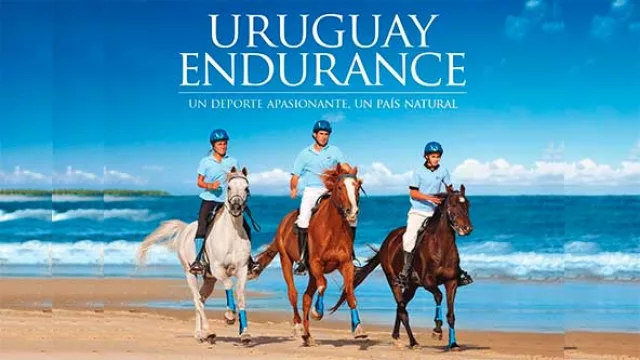 El Enduro Celeste rinde: La exportación de caballos se multiplicó por diez en cuatro años