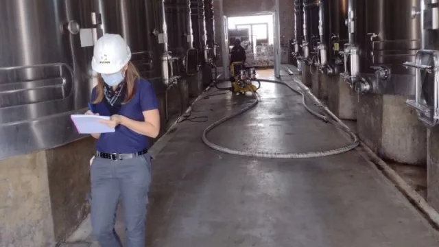 Clypeo, la empresa de ingeniería ambiental que busca dar respuestas sustentables    