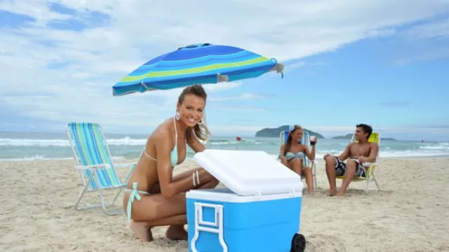 La "reina del verano" es brasilera y se llama MOR. En 2012 se importaron playeras por US$ 5 millones