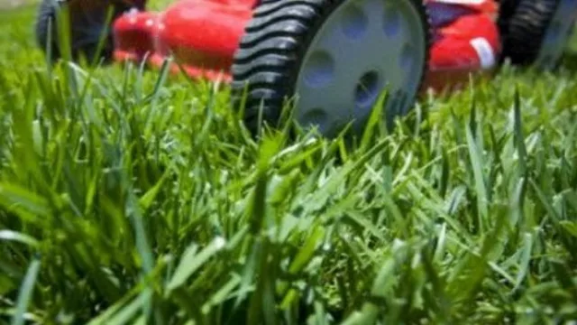 El oficio del verano: "peluqueros de jardín" cobran entre US$ 10 y US$ 15 la hora