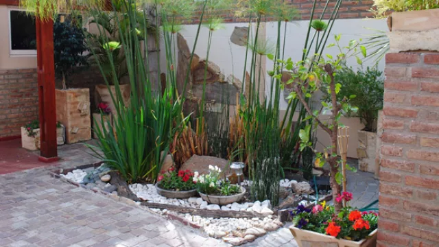 Planta fitodepuradora subsuperficial instalada en un patio de una vivienda en Córdoba.