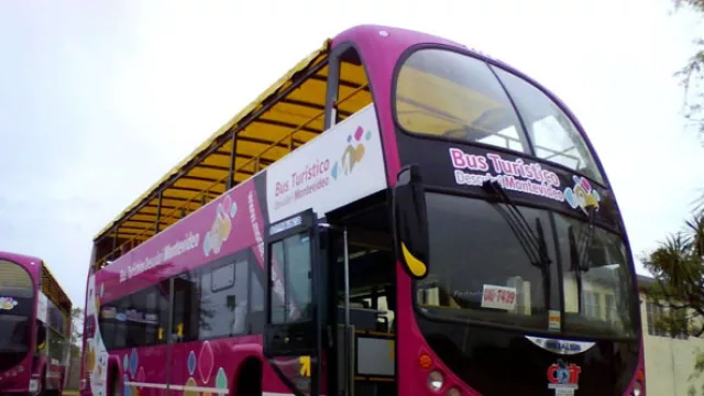 El bus turístico superó la meta de los operadores. Venden un promedio de 300 tickets por día
