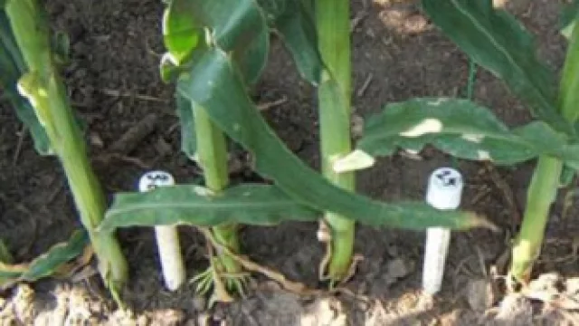 Nuevo servicio de comunicación máquina - máquina