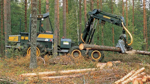 Consejos para hacer una compra navideña más responsable y ecoamigable