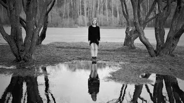 Oscar Hahn, Torres gemelas