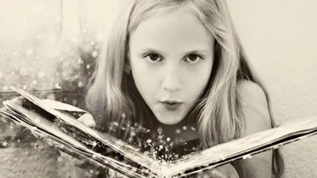 Erica Jong, Estrellas de papel