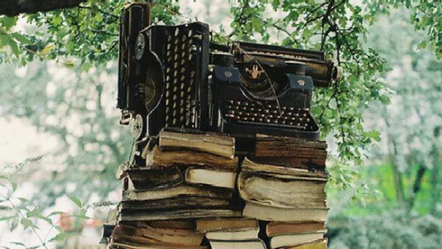 Laura Yasán, Visita guiada