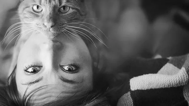 Carina Sedevich, 2 poemas 2