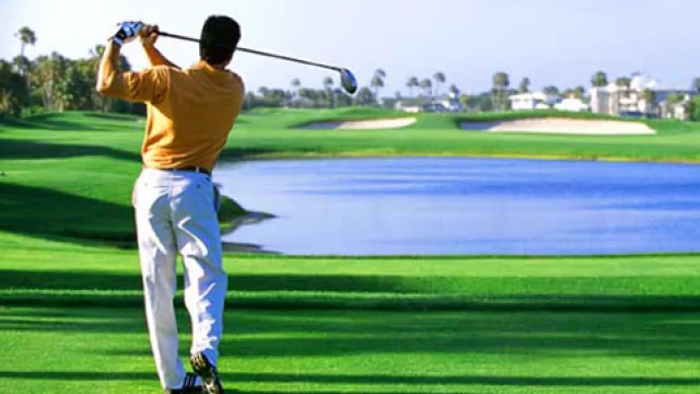 Gracias a los colectivos