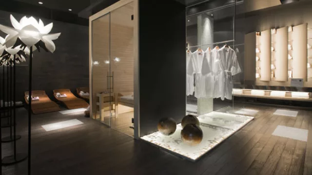 La Isla-Spa  se articula a partir de un eje central, planteado por paneles vidriados contenedores de batas.