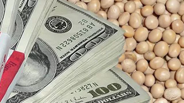 Te lo dijimos: la soja arriba de los US$ 600 por tn. era una burbuja (y se desinfló nomás)