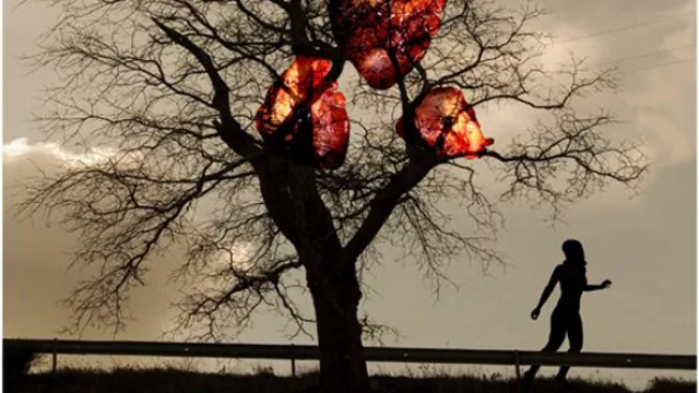 Malú Urriola, 2 poemas 2