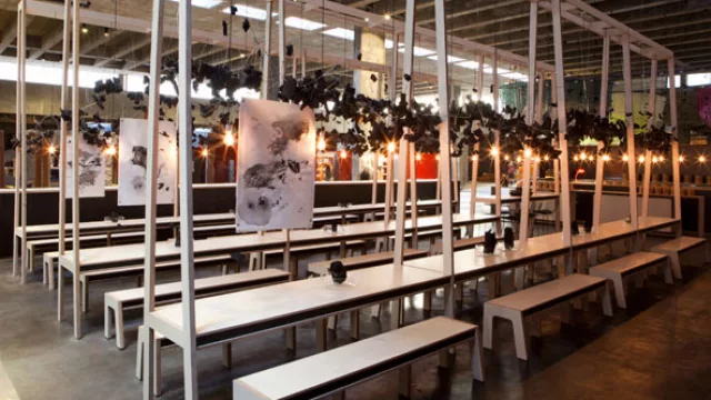 Carbones y grabados en tinta negra y carbonilla, realizados por la artista plástica Alicia Esquivel, se suspenden sobre los mesones.