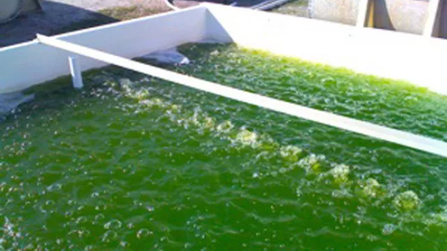 GeCor le saca el juego a las algas (biodiesel, captura de CO2, proteínas y cosméticos)