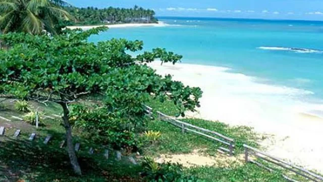 Git pica en punta con la oferta de vuelos charters (Porto Seguro, Salvador de Bahía y Punta Cana)