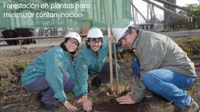 Acindar, una big que presentó su informe anual de sustentabilidad