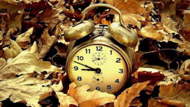 Tove Ditlevsen, Matrimonio