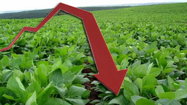 Mientras la soja baja... ¿por qué suben tanto las acciones de bancos argentinos?