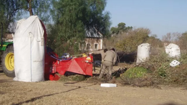 Las filosas cuchillas de la chipeadora reducen las ramas y troncos