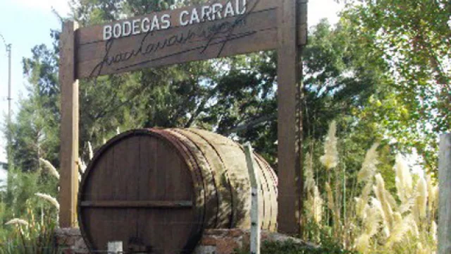 Carrau celebra con la primera producción de su nueva bodega boutique en Brasil