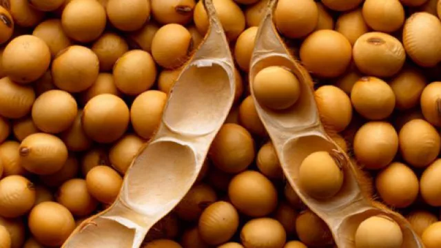 Ojo: la soja podría haber encontrado su techo (una pausa en la sección de finanzas personales)