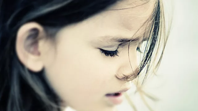 Ana Blandiana, Deberíamos...