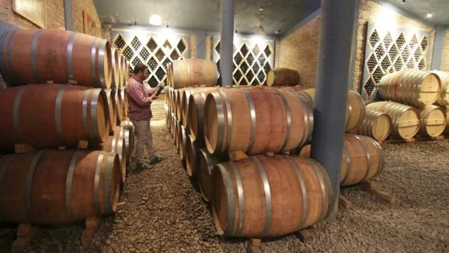 Camino del Vino Tucumano: turistas disfrutan 14 bodegas de los Valles Calchaquíes 