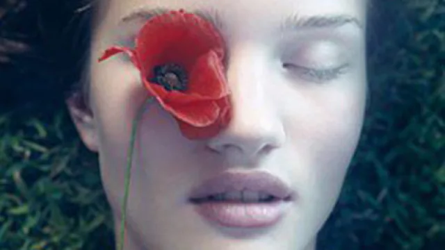 Alejandra Fritz, 3 poemas 3