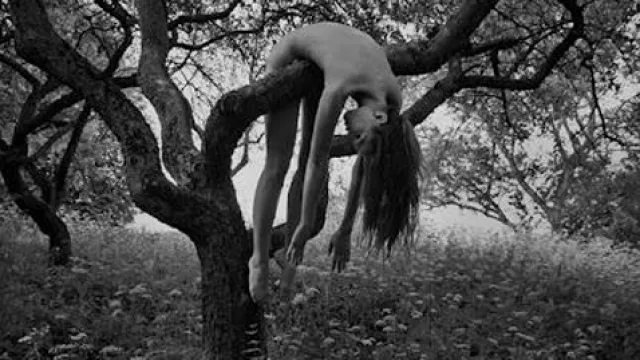 Rossella Di Paolo, La estaca