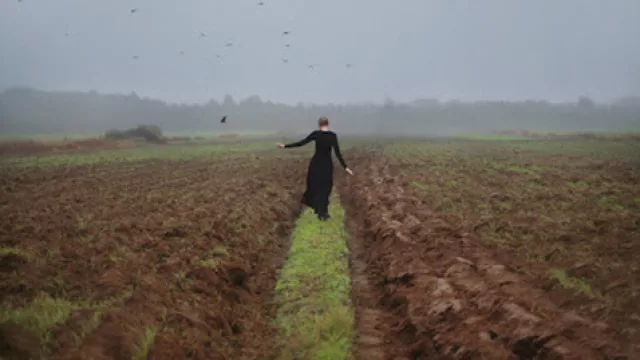 Roberto Bolaño, 2 poemas 2