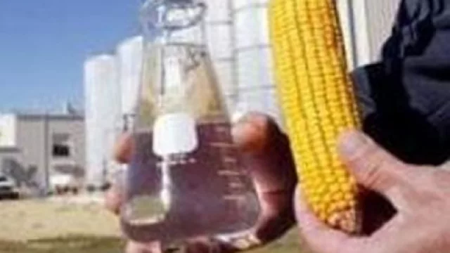 AGD avanza con su megaplanta  de etanol en Alejandro Roca  (y ve un 2013 mejor)