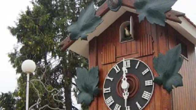 Gnomon quiere cambiar el pájaro del ex Cucú de Carlos Paz (el mantenimiento sin costo)