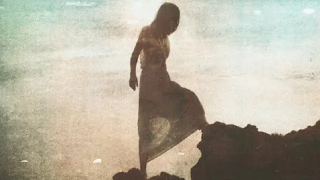 Miyo Vestrini, Valiente ciudadano