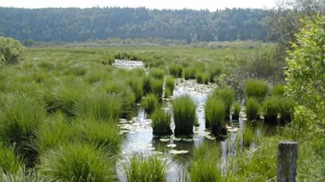 Galicia y un reconocimiento de hasta $ 50.000 para ecoiniciativas